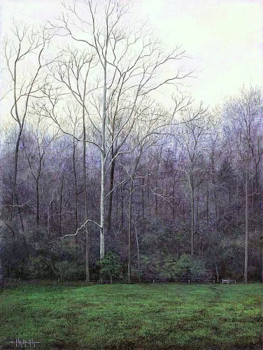 JMK_Sycamore in Spring, Copyright 2002